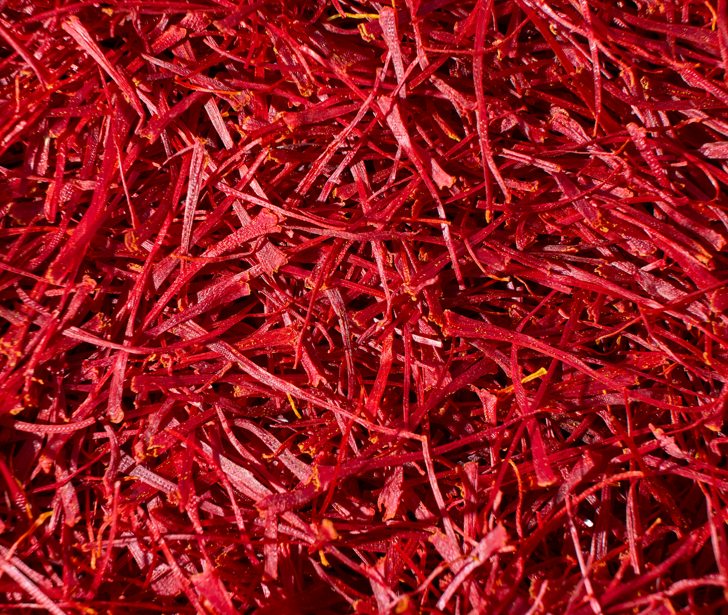 100g Saffron: Premium ISO Category #1 Afghan Saffron Threads