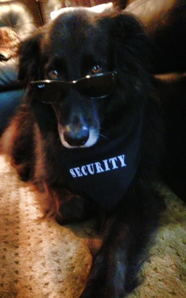 SECURITY Bandana