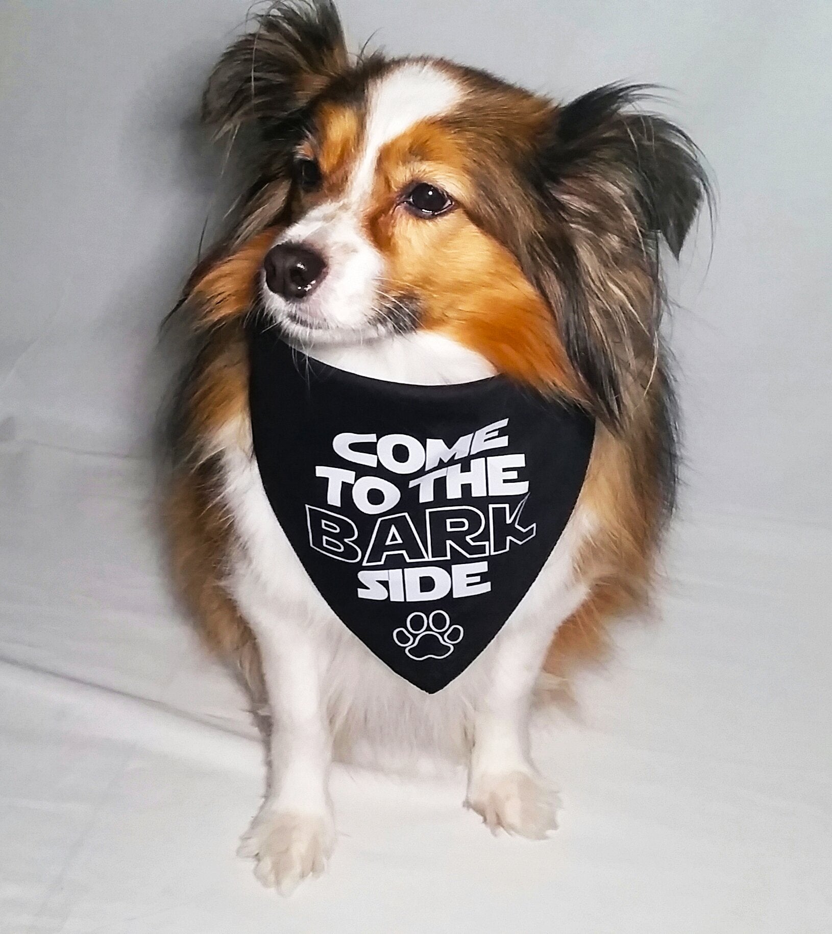Come to the Bark Side Bandana (Paw Wars)