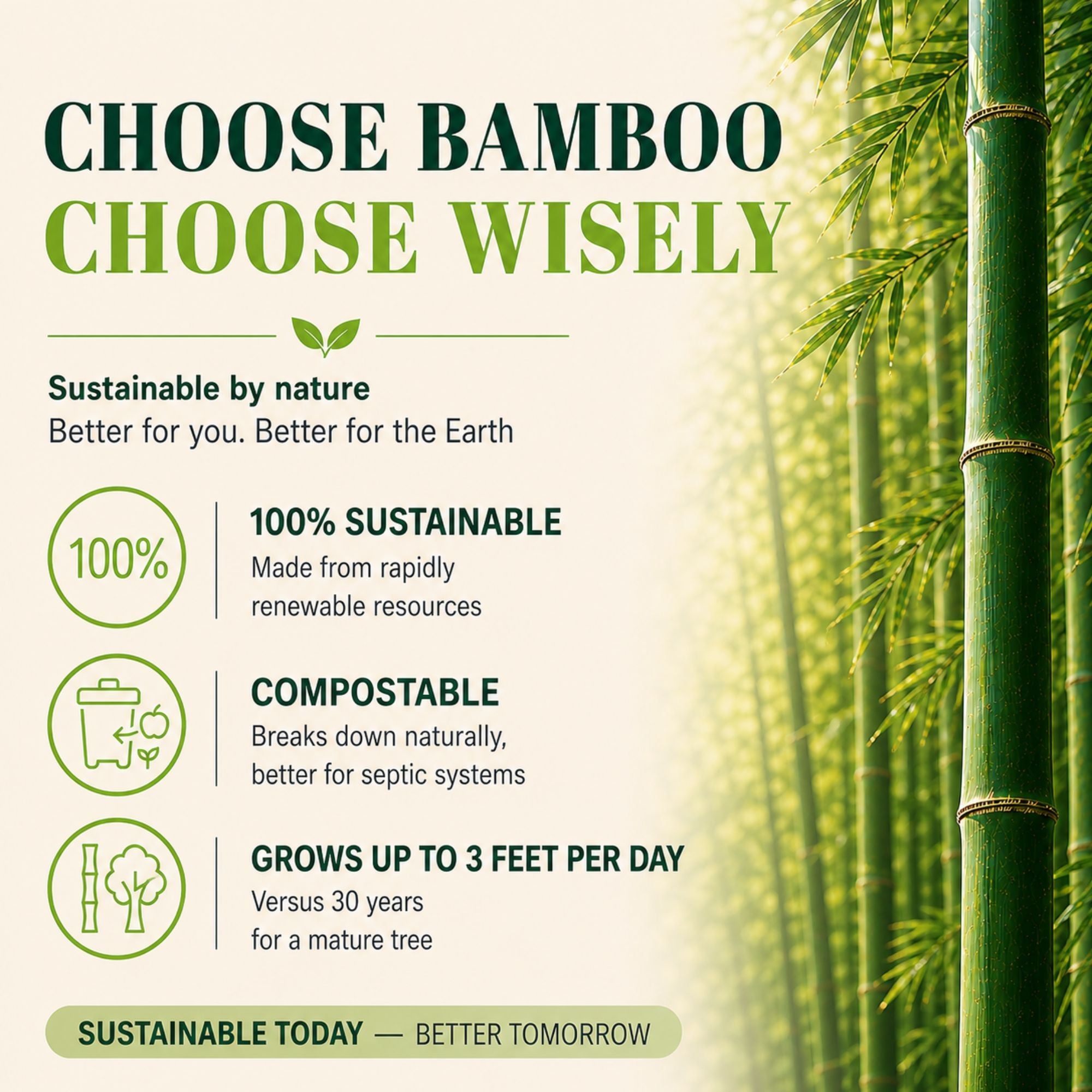 Healthy Organic Bamboo Toilet Paper – 12 Rolls, 3-Ply, 400 Sheets Per Roll, Individually Wrapped