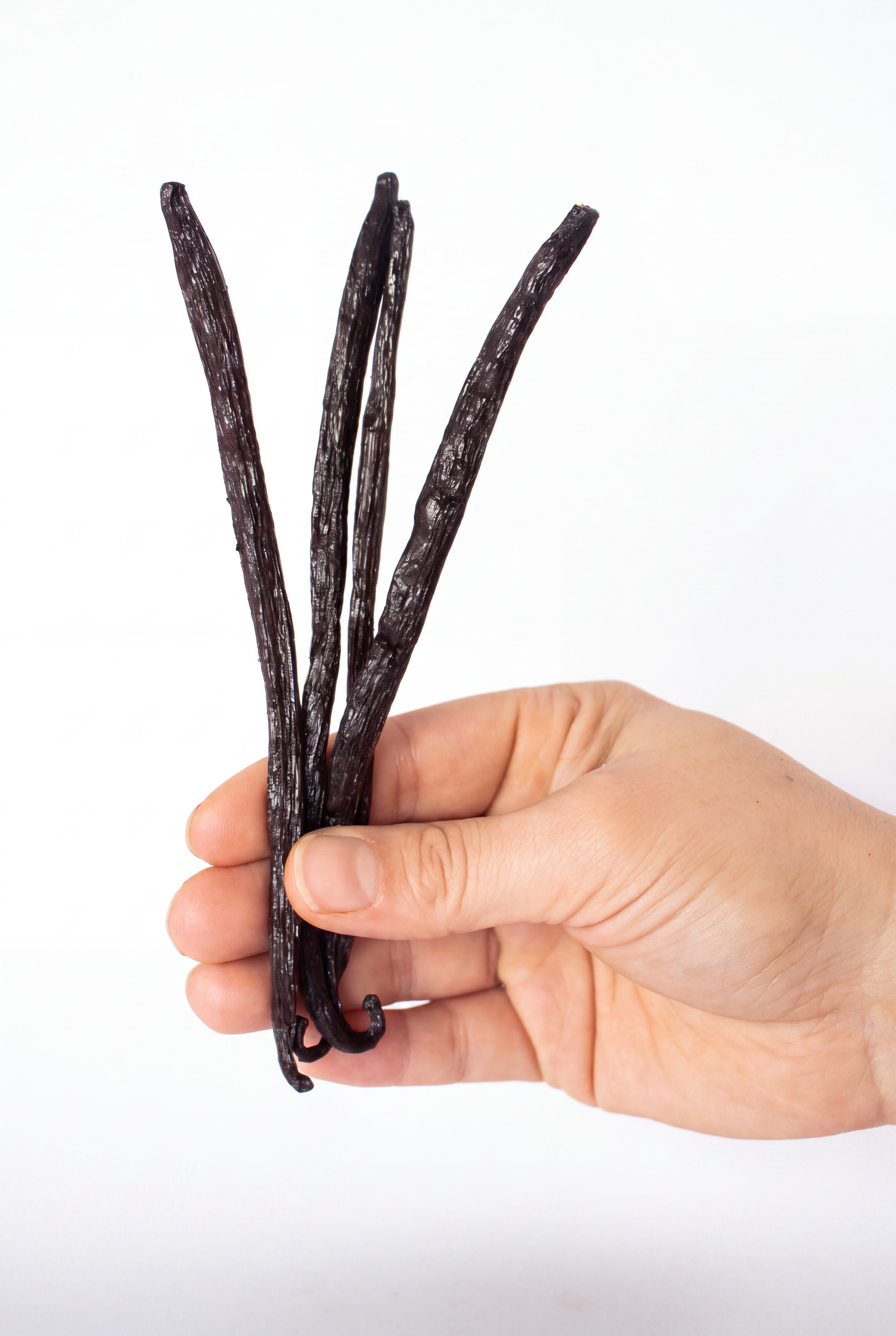 Madagascar Vanilla Beans, Grade A Gourmet Pods
