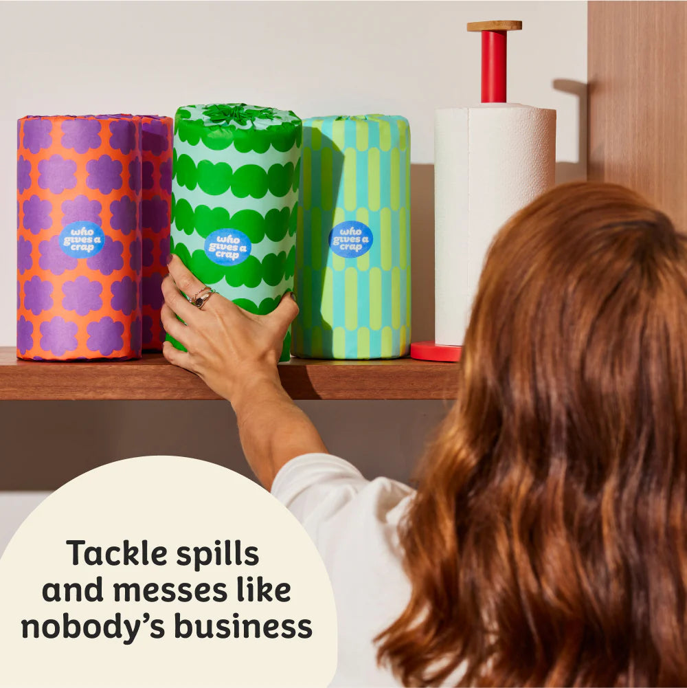 100% Recycled Paper Towel (12 rolls per box)