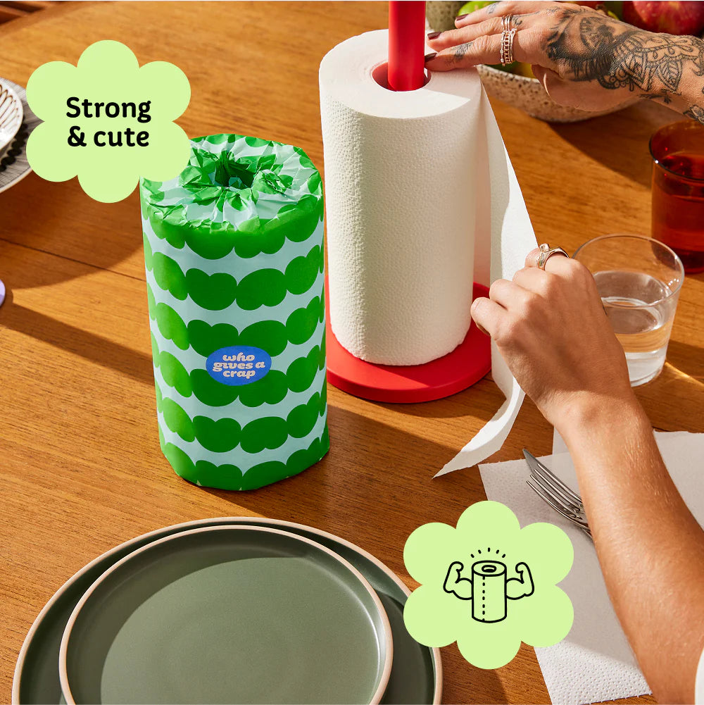 100% Recycled Paper Towel (12 rolls per box)