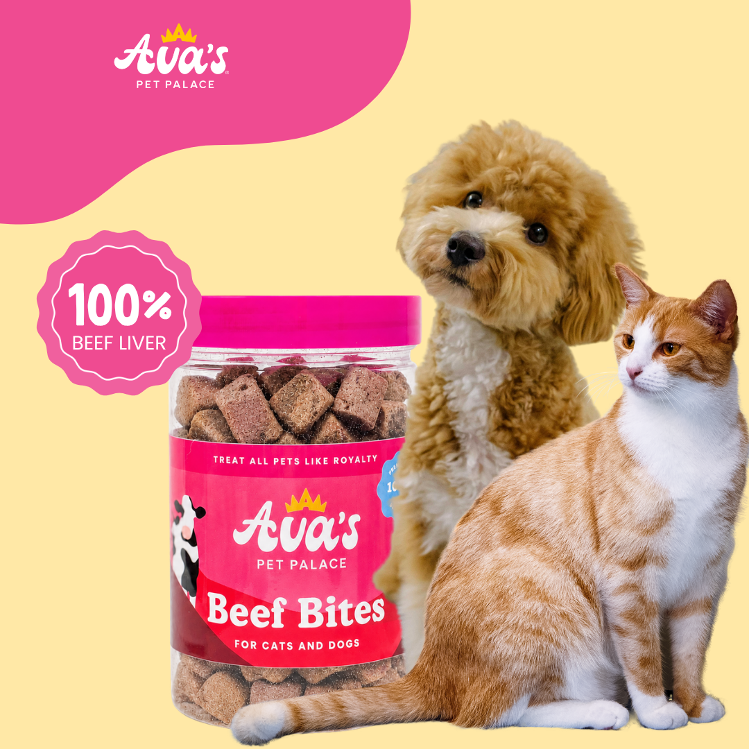 Freeze Dried Beef Liver - Beef Bites