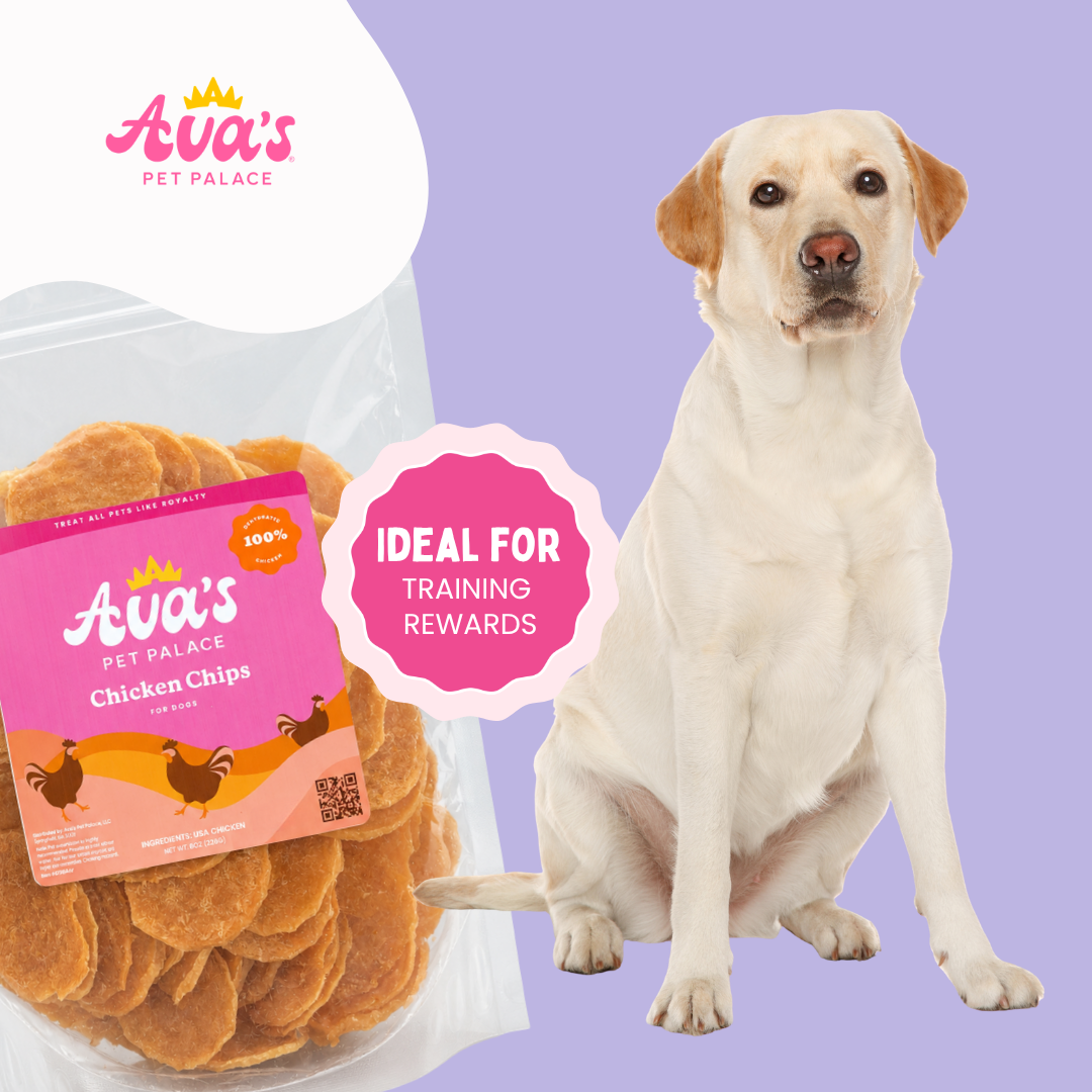 Crispy Dog Treats - Chicken Chips