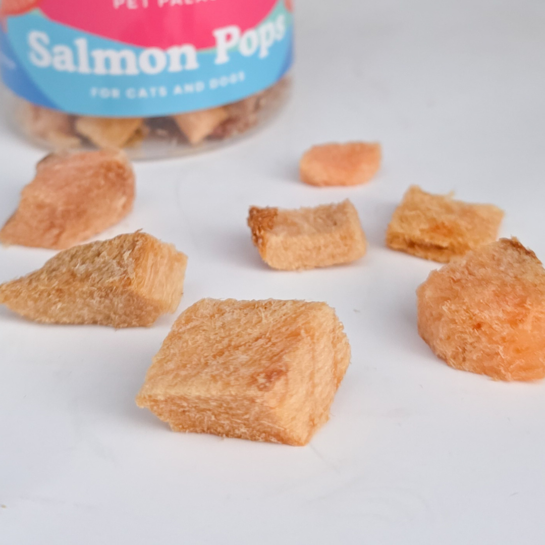Freeze Dried Salmon - Salmon Pops