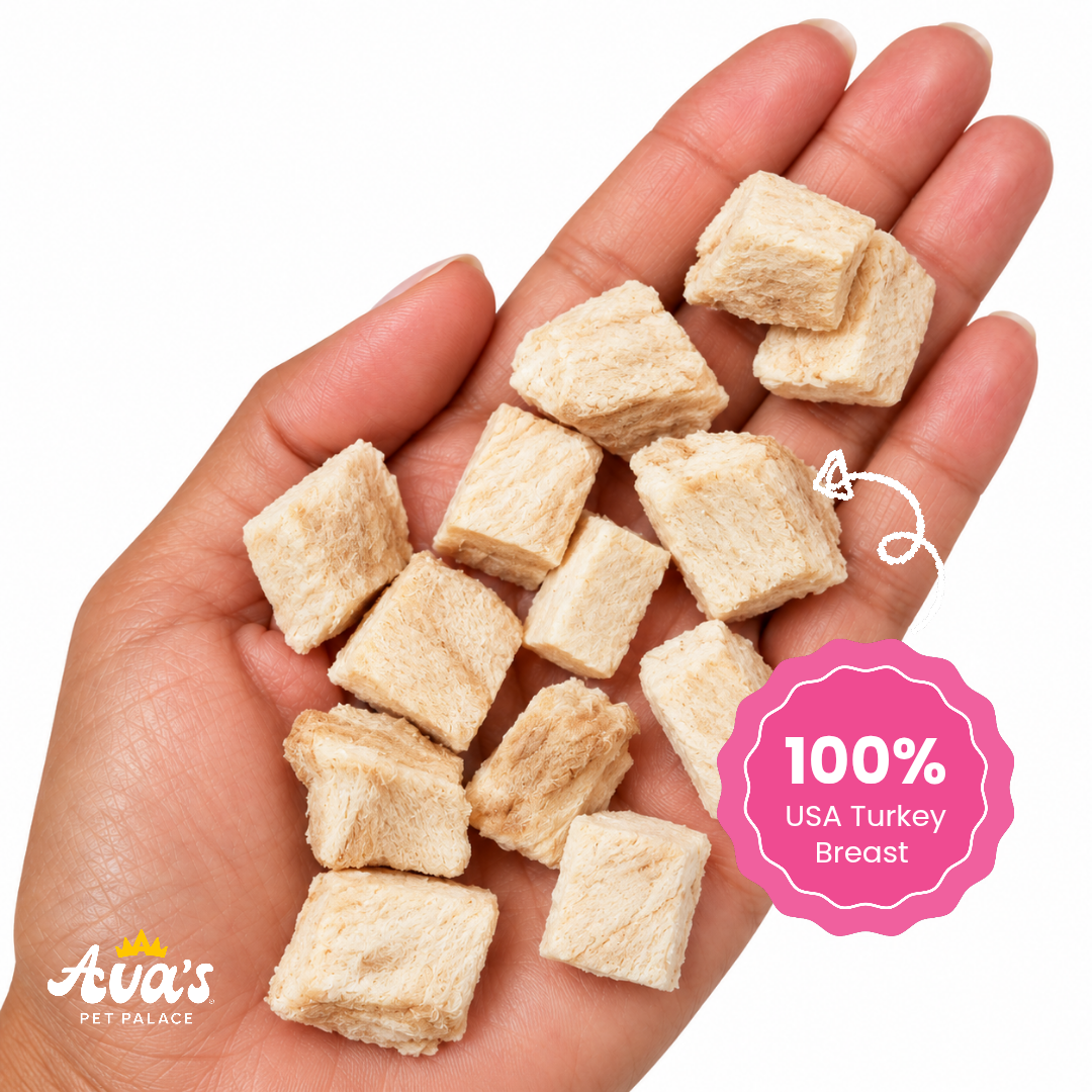 Freeze Dried Turkey Breast - Turkey Pops