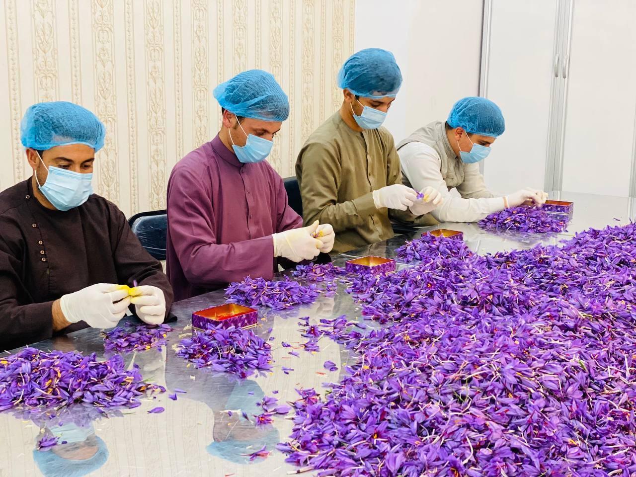 100g Saffron: Premium ISO Category #1 Afghan Saffron Threads