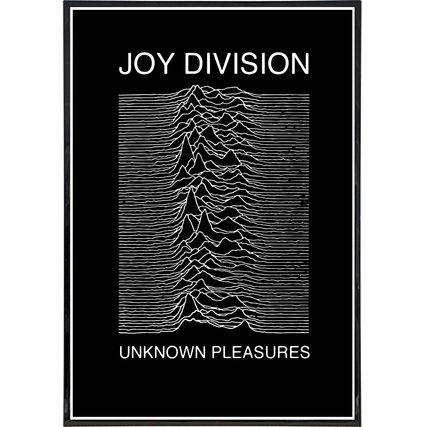 Joy Division Show Poster Print