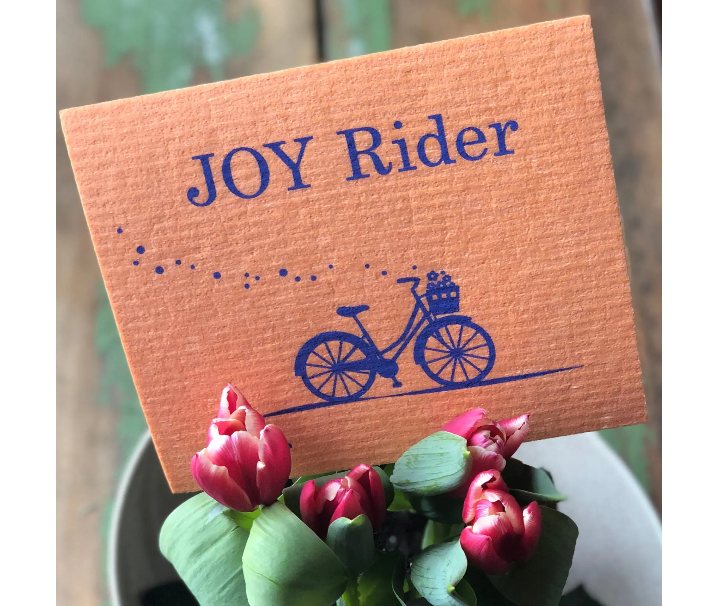 Joy Rider Bicycle