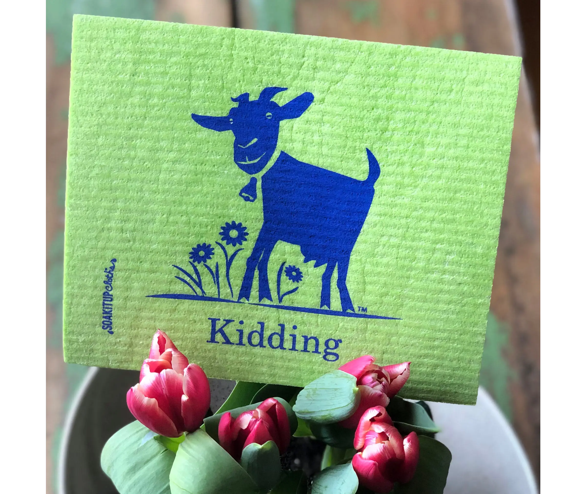 Kidding Goat