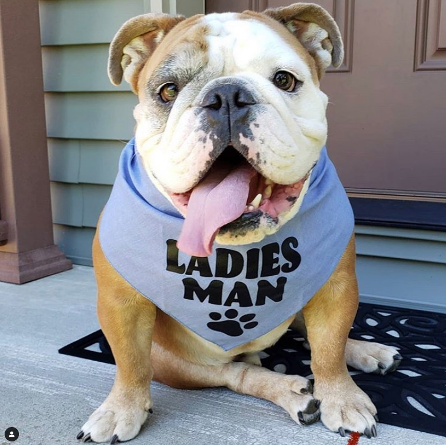 Ladies Man Bandana