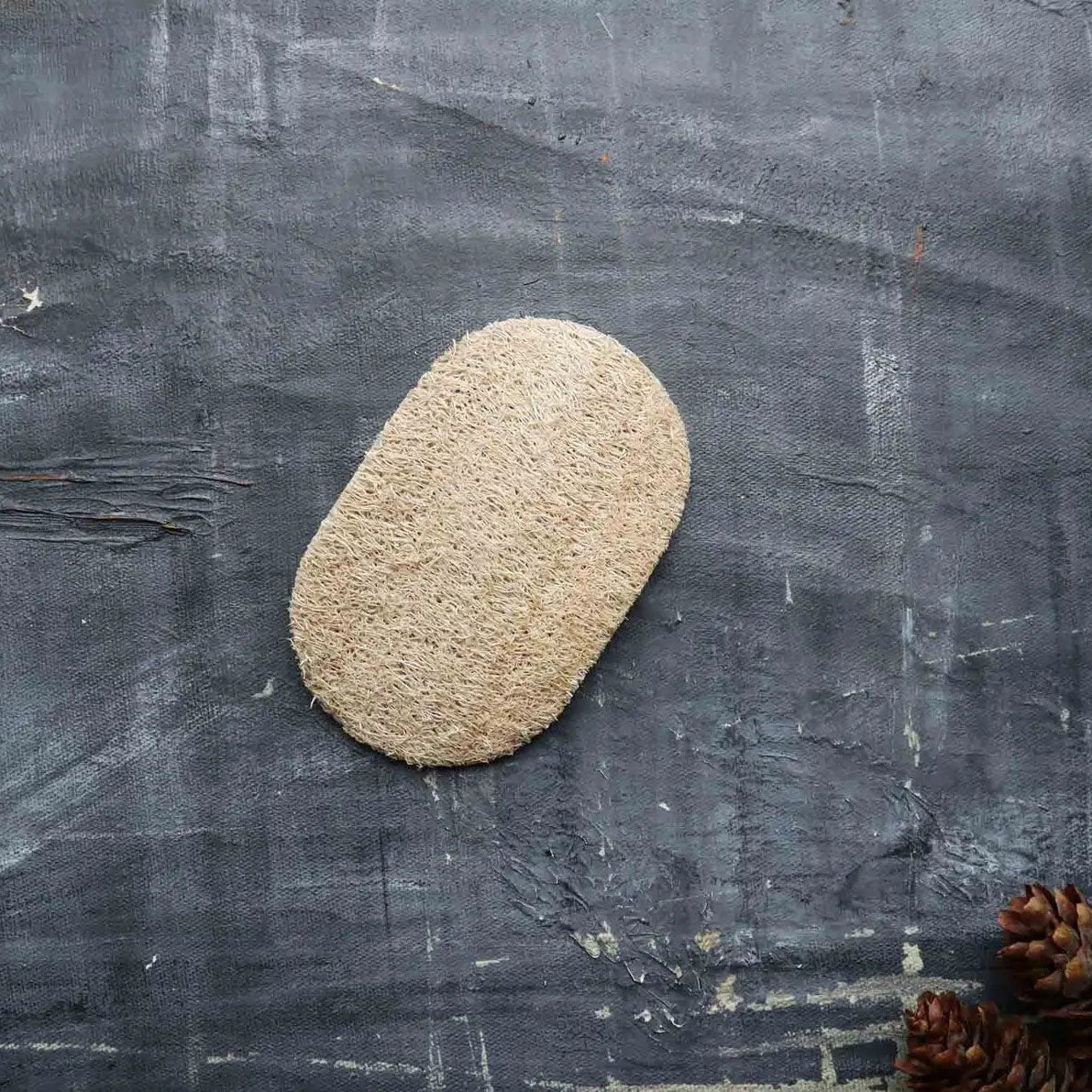 Natural Loofah Dishwashing Sponge – Set of 2