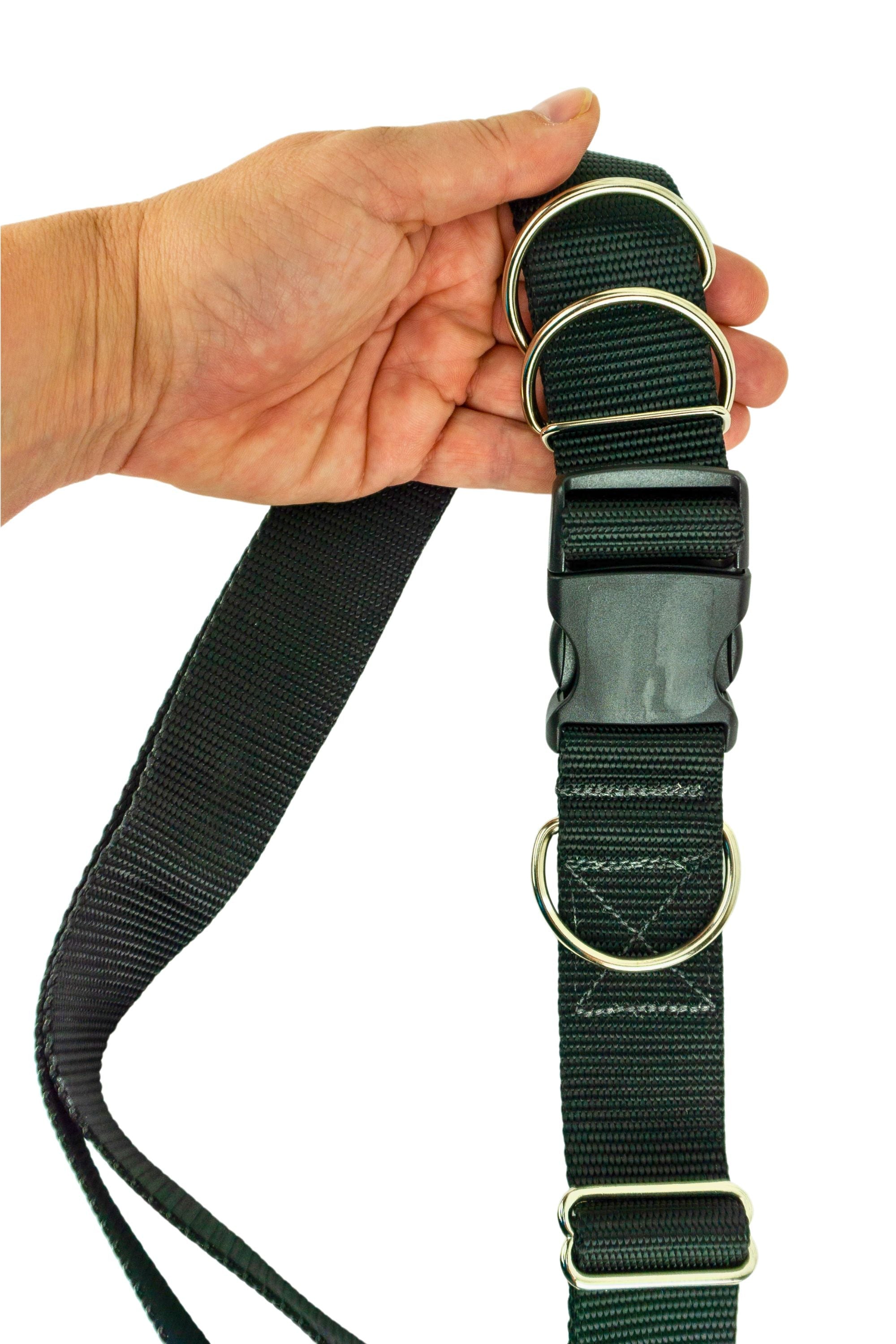 Medium Weight Hands Free Leash Belt