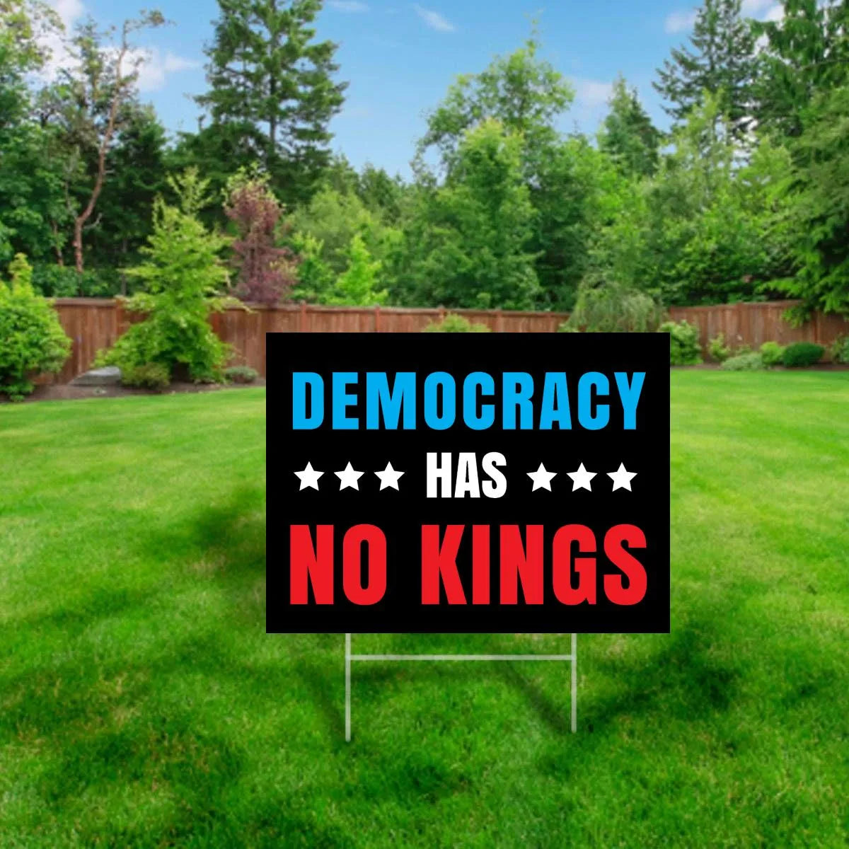 Democracy has No Kings Yard Sign