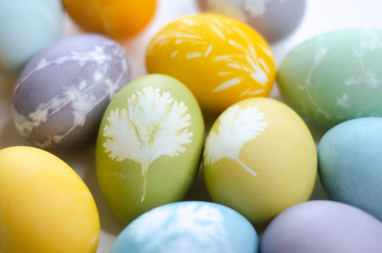 Natural Easter Egg Paint & Dye Set