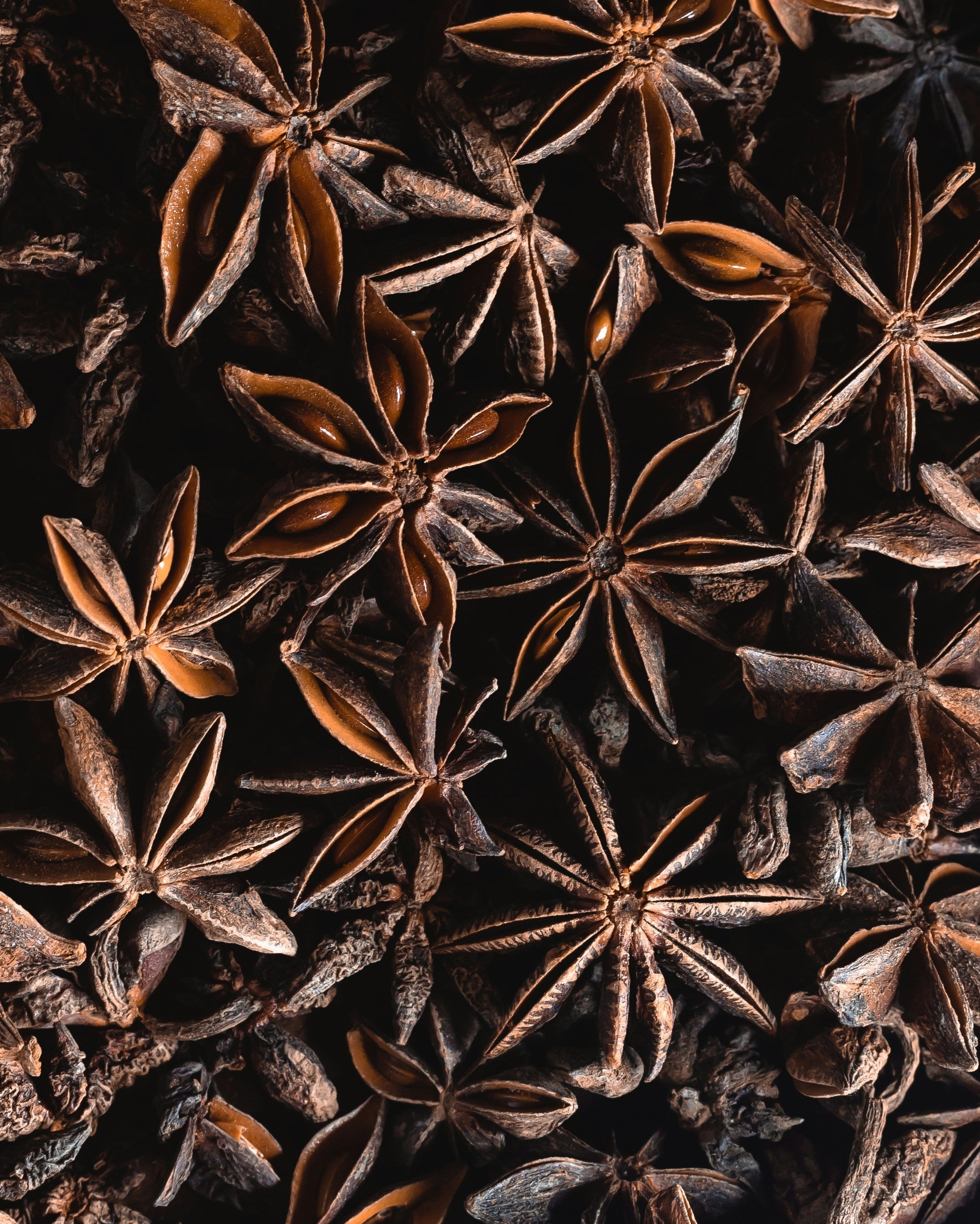 Star Anise 0.5 Oz (14.5 grams)
