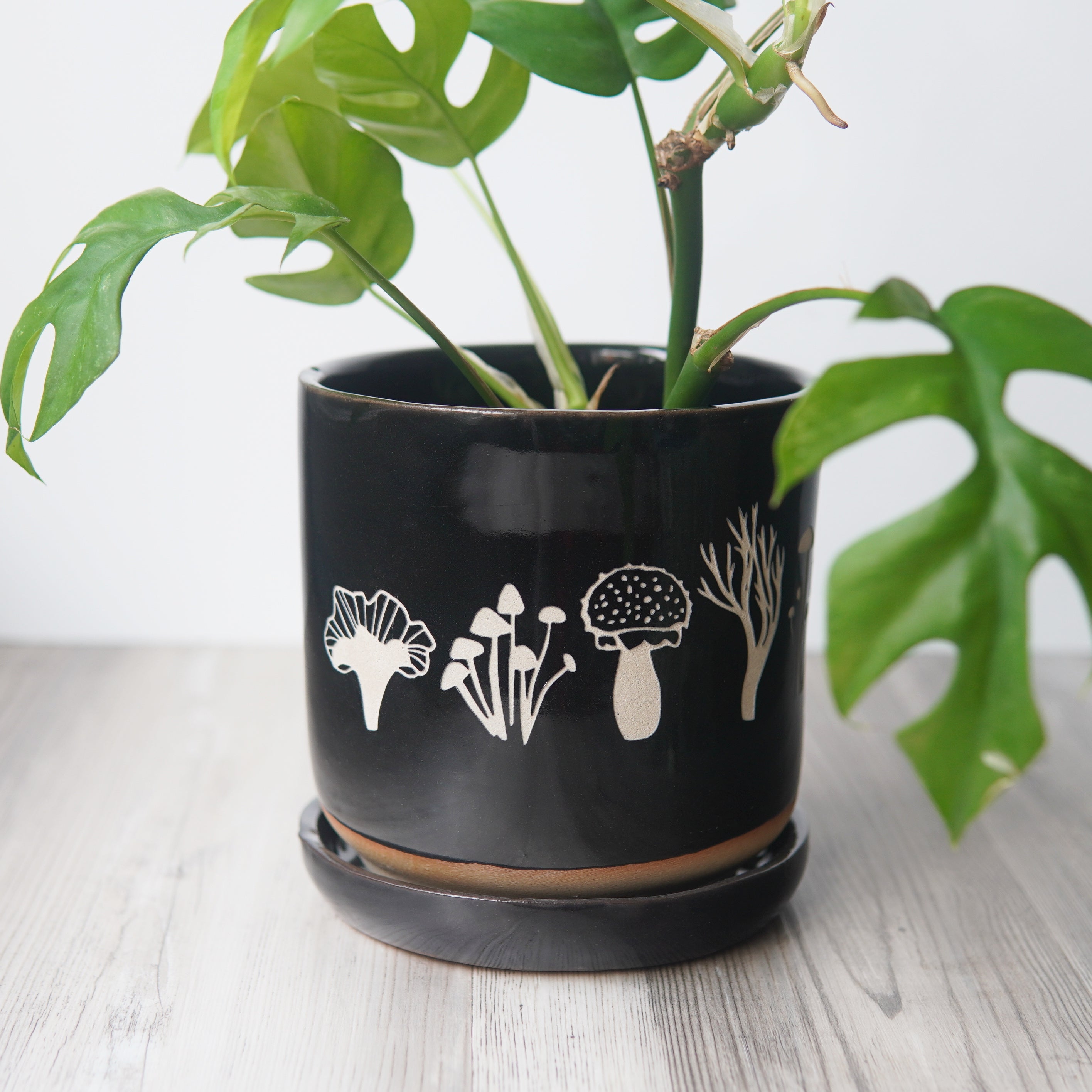 Mushrooms Farmhouse Planter with Saucer