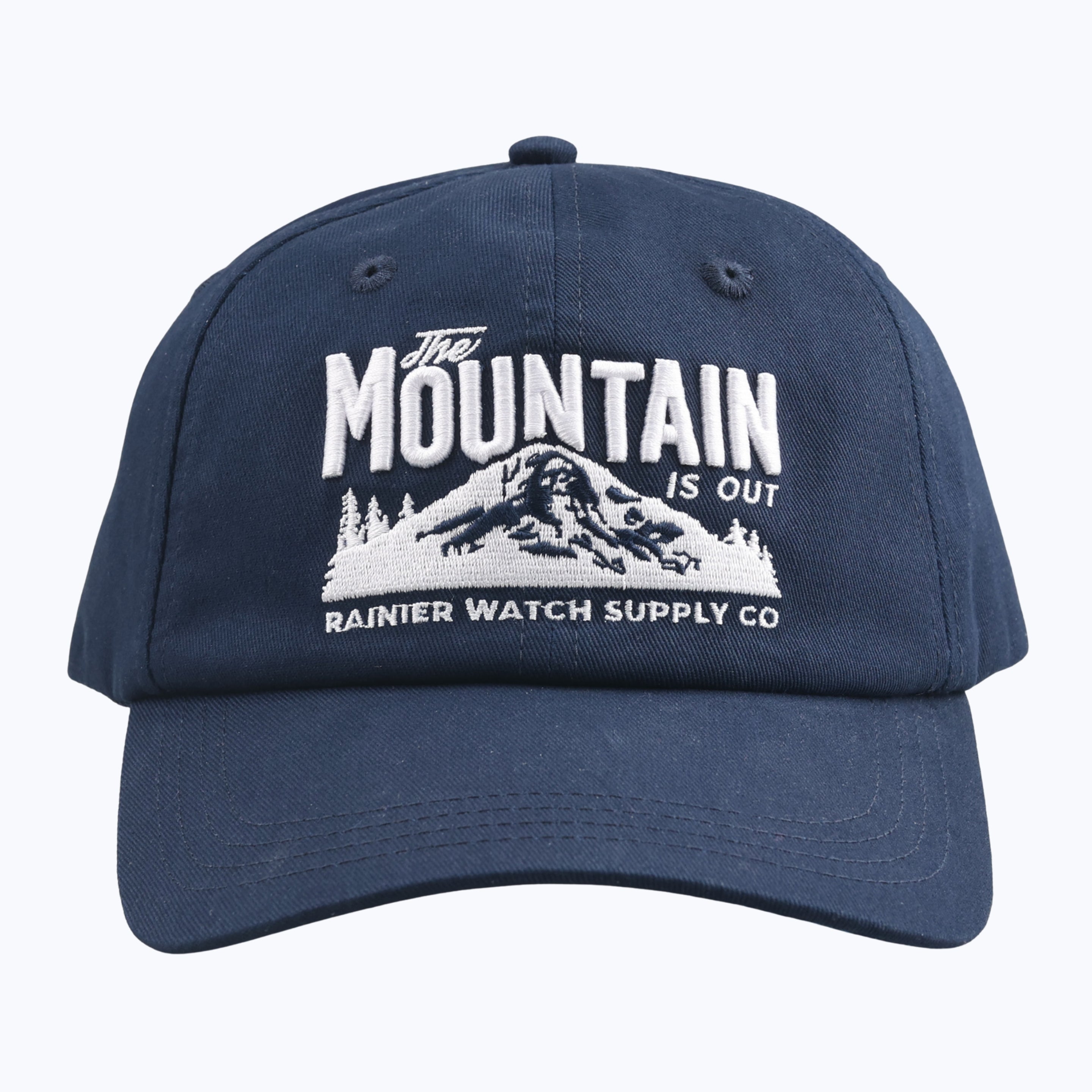 The Mountain Is Out Dad Cap - Navy