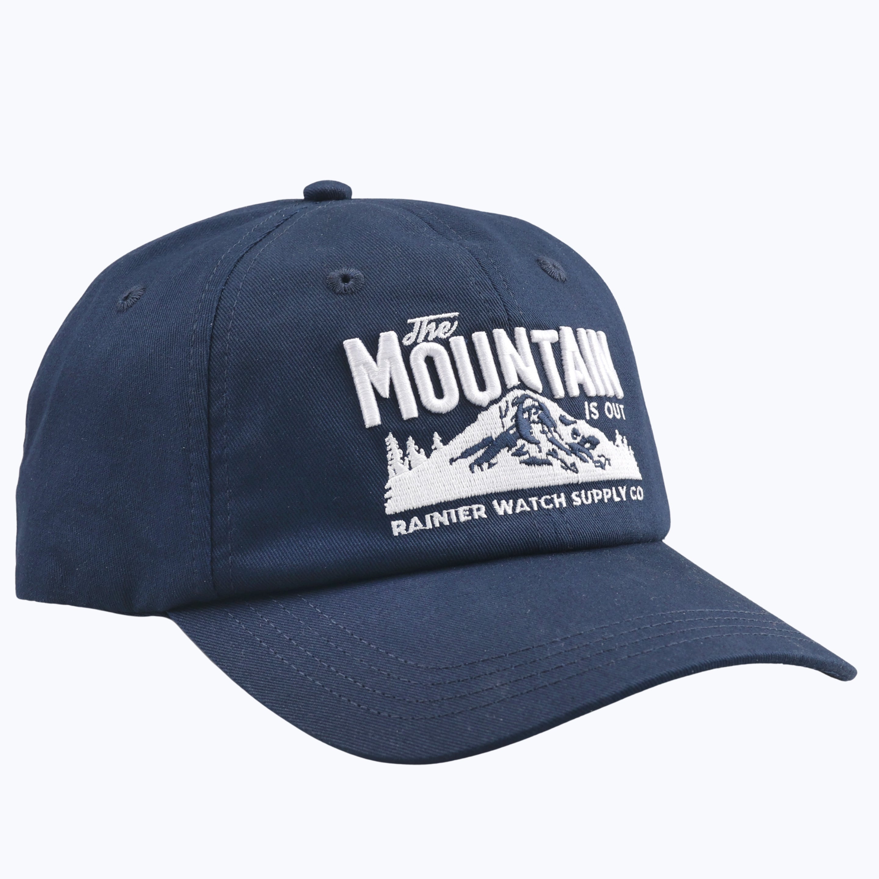 The Mountain Is Out Dad Cap - Navy