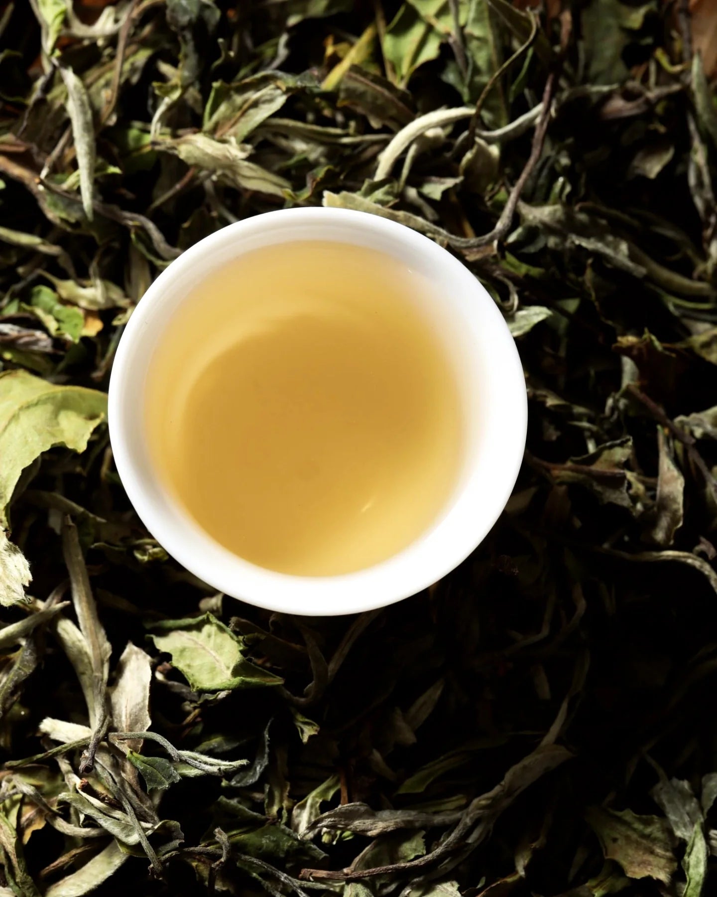 White Peony - Bai Mu Dan