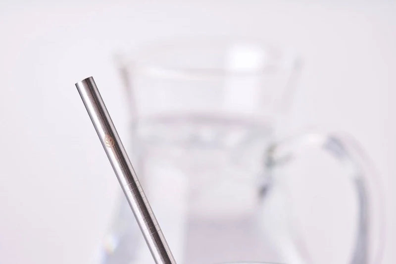 Stainless Steel Drinking Straw - Standard Bent (No bag or cleaner) - Single Straw