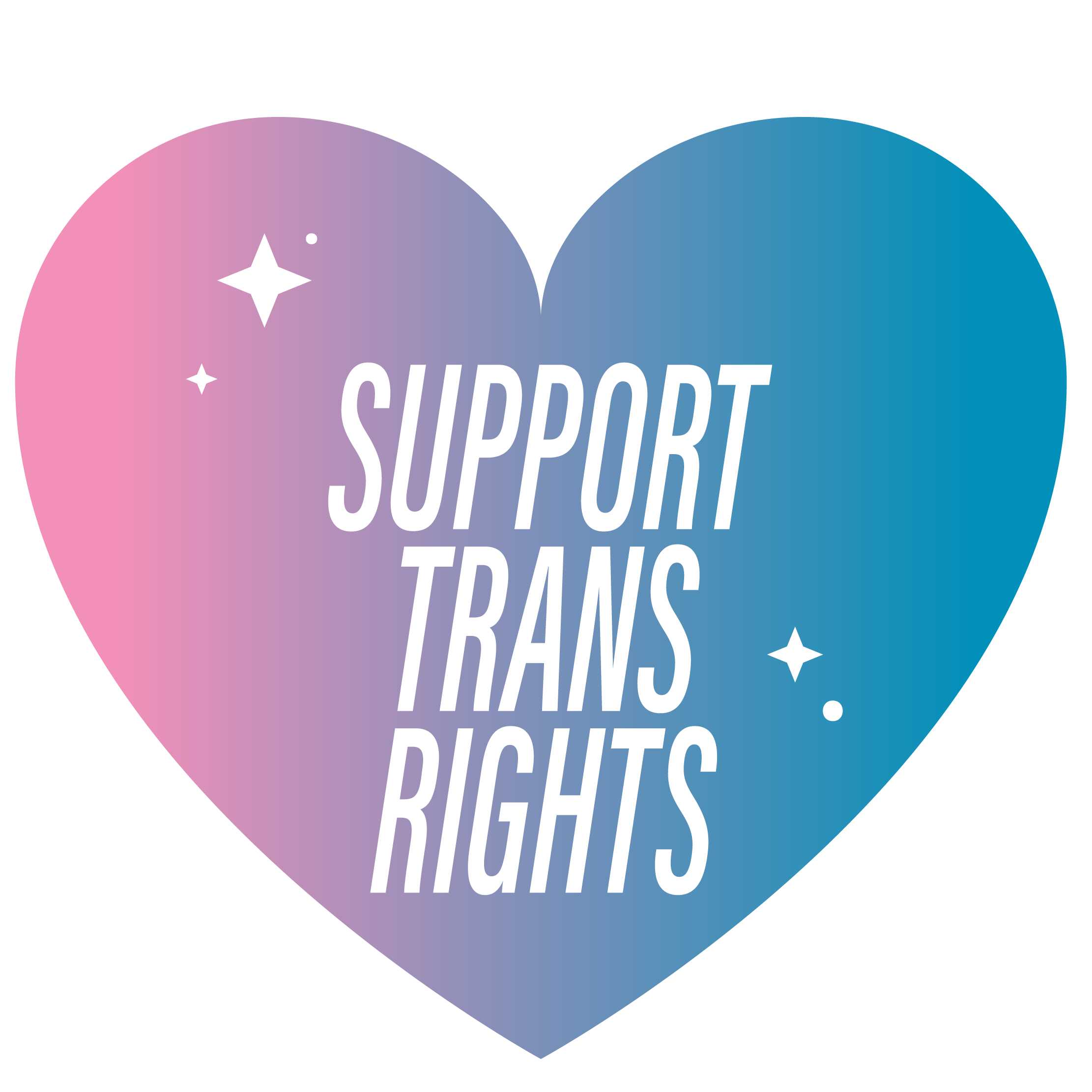 Support Trans Rights Vinyl Sticker